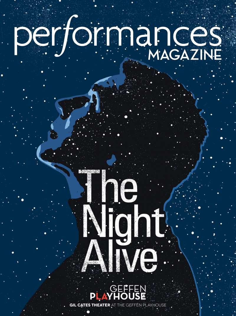 The Night Alive Playbill