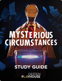 Mysterious Circumstances Study Guide
